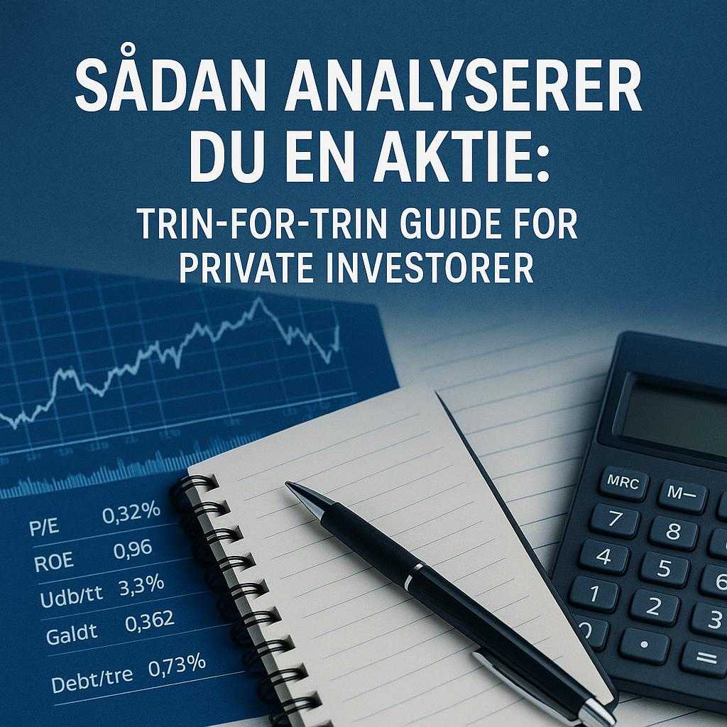 Sådan analyserer du en aktie: trin-for-trin guide for private investorer